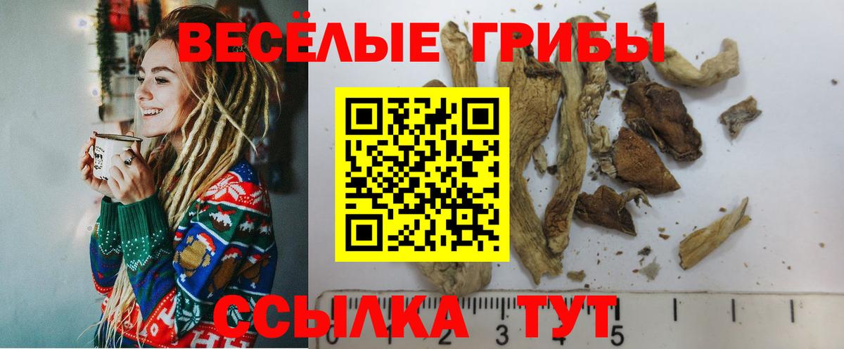 Галлюциногенные грибы GOLDEN TEACHER  Вход с VPN  Ессентуки 